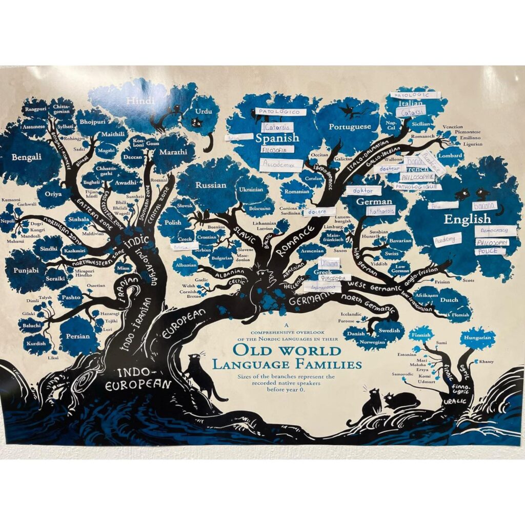 557057690_1386680093463809_4622344101881975885_n