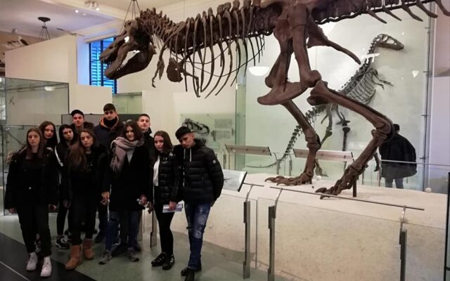 50907005 2015096978604289 5187553996524486656 n