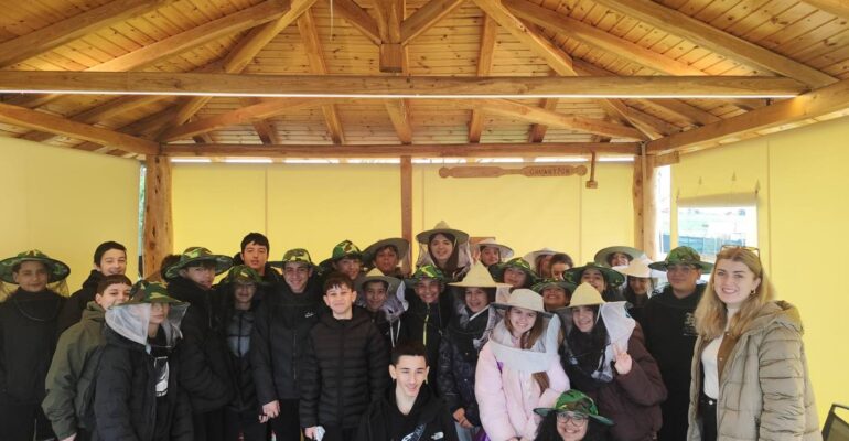 633258840 1505527528245731 7266605863085373170 n